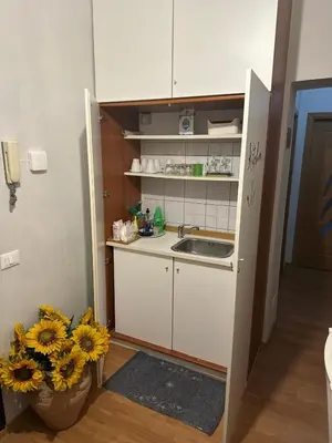 a small kitchen with a sink and a vase of flowers at Trani B&T Rooms in Rome