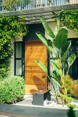 a wooden door of a house with a plant at Horti 14 Borgo Trastevere Hotel in Rome