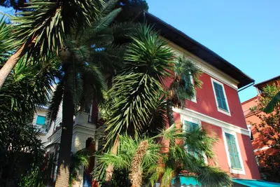 a group of palm trees in front of a building at Il Tempio di Morfeo in Rome