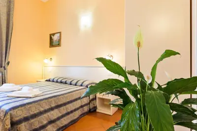 a hotel room with a bed and a plant at Vatican Town in Rome
