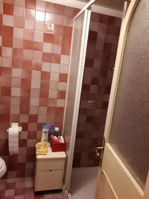 a bathroom with red and white tiled walls and a toilet at Marina in Rome