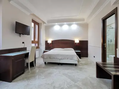 a bedroom with a bed and a desk and a television at Hotel Valentino Palace in Rome