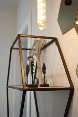 a glass shelf with a plant inside of it at Damiva in Rome