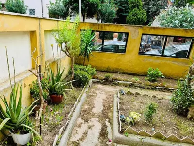 a garden with plants in front of a yellow building at L'Oleandro di Alfredo in Rome