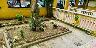 a garden with a tree and flowers in front of a building at L'Oleandro di Alfredo in Rome