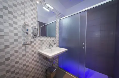 a bathroom with a sink and a shower at Borghese Executive Suite in Rome