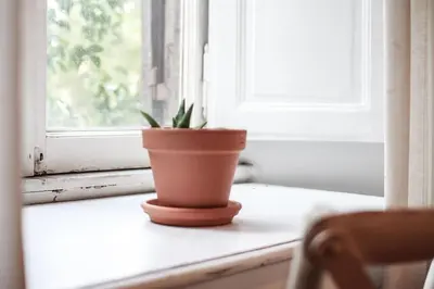 a plant in a pot sitting on a window sill at Coliving Trastevere in Rome