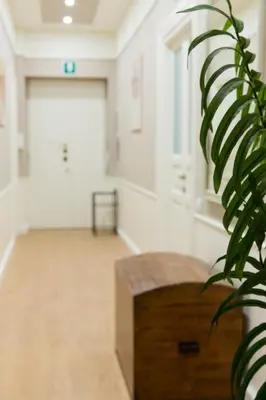 a large room with a table and a plant at Beautiful apartment in San Giovanni close to Colosseo in Rome