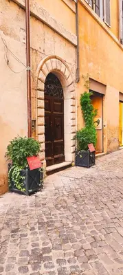an entrance to a building with a door and two plants at NAVONA & CASTEL SANT'ANGELO WHOLE HOLIDAY APARTMENT da PAMINO & PRISCILLA in Rome