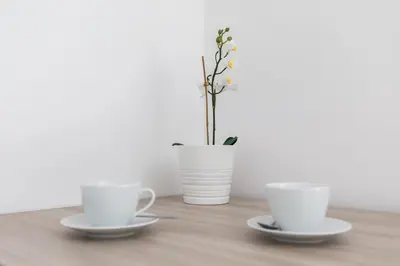 a table with two cups and a vase with a plant at A World Aparts - 105 Pellegrino in Rome