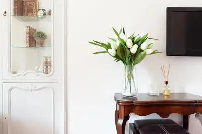a vase of flowers on a table next to a tv at Leonardo Suite Navona in Rome
