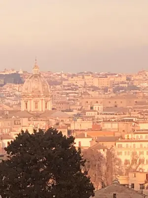 a view of a city with a tree in the foreground at S.Apollonia Suite Trastevere in Rome