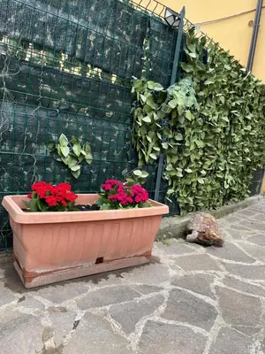 a planter with red flowers in front of a fence at Appiolatino - Il Fenicottero in Rome