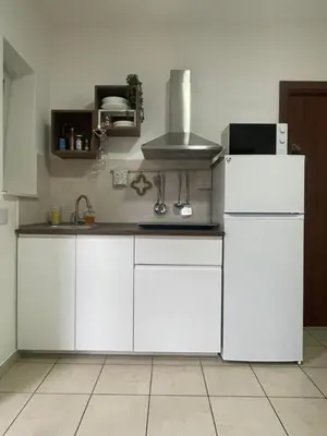 a kitchen with white cabinets and a white refrigerator at Appiolatino - Il Fenicottero in Rome