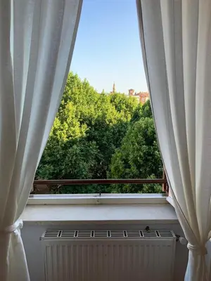 a window with a view of a tree at Arion Holiday Home in Rome