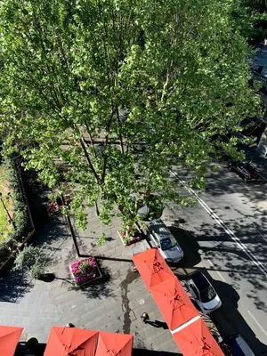 an overhead view of a tree with umbrellas in a parking lot at Arion Holiday Home in Rome