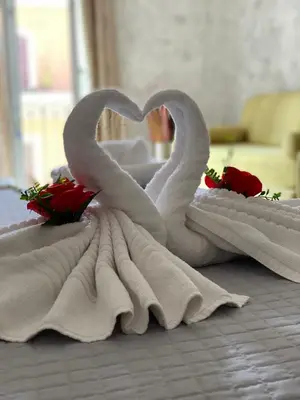 two swans made out of towels on a table at VaticanSky rooms in Rome