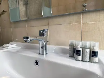 a bathroom sink with bottles ofodorizers sitting on it at JHHIT Tuscolana Suite 03 with Terrace in Rome