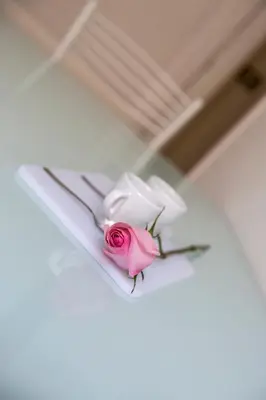 two white and pink roses sitting on a table at Marbel - Casa vacanze in Rome