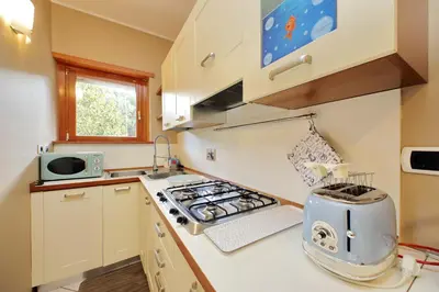 a small kitchen with a stove and a microwave at Aurelia Relax Apartment in Rome