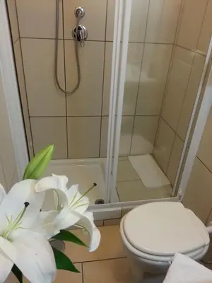 a bathroom with a shower with a toilet and a flower at San Lorenzo Rooms in Rome