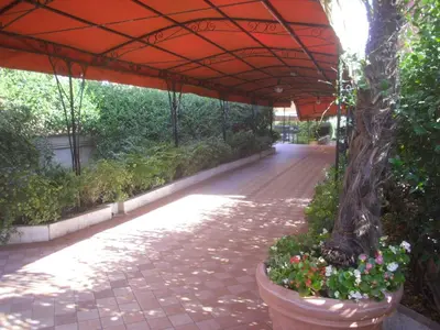 a patio with a tree and flowers in pots at Lovely Little Apartment in Via Aurelia in Rome