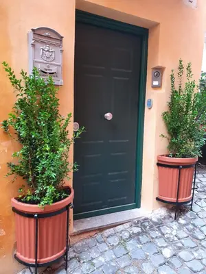 two potted plants sitting in front of a black door at Vicolo Navona in Rome
