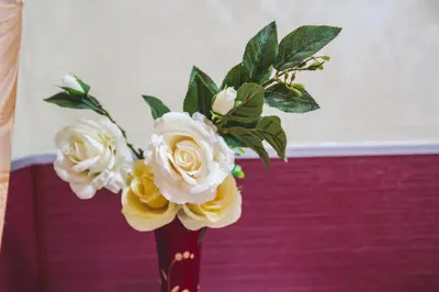 a white daisy button on a brown background at Vertex Guest House in Rome