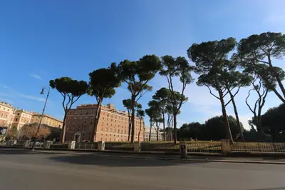 a row of trees on the side of a street at Residenza Adriana in Rome