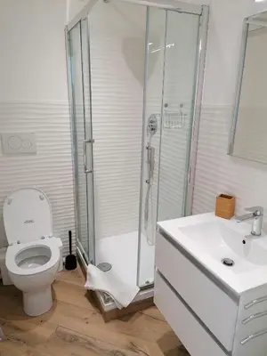 a bathroom with a shower and a toilet and a sink at Appia Garden in Rome