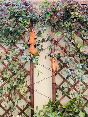 two teddy bears sitting on a wire fence at Babyface in Rome