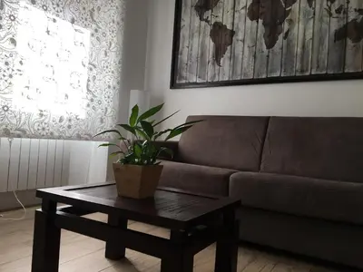 a living room with a couch and a table with a plant at GLI ARANCI Apartment in Rome