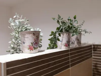 three potted plants sitting on top of a shelf at Romerooms Cola di Rienzo in Rome