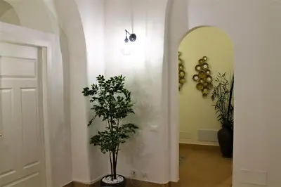 a hallway with a plant next to a door at Exclusive Central Apartment 48 in Rome