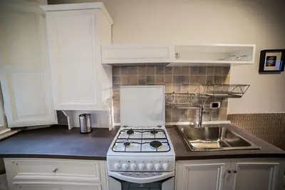 a kitchen with a stove and a sink at Vatican Jewel Apartment in Rome