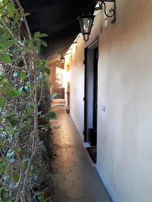a hallway of a house with a plant at Toberto Apartment in Rome