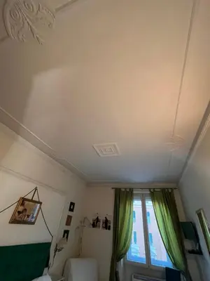 a bedroom with a ceiling with green curtains and a window at B&B DolceVirginia in Rome