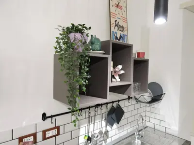 a kitchen with shelves with plants on the wall at Domus Angelica in Rome