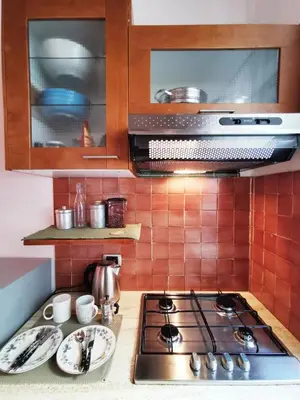a kitchen with a stove and a counter top at Borgo Pio San Pietro Apartment in Rome