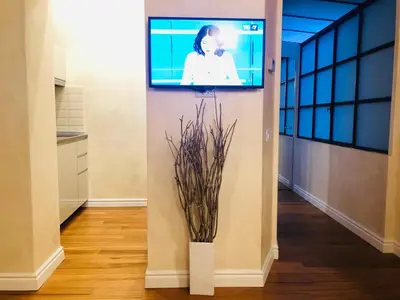 a television on a wall in a hallway with a plant at Luxury Apartment Frattina 34 Anelli in Rome