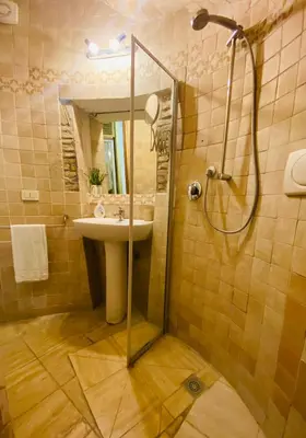 a bathroom with a shower and a sink at Ancient Roman Mansion in Rome