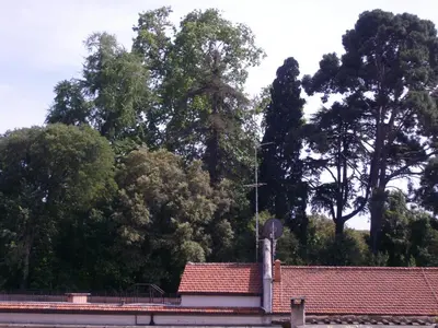 a roof of a house with trees in the background at President Gardens in Rome