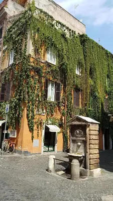 an ivy covered building with a bench in front of it at Vatican Home in Rome - Suite St. Peter's View in Rome