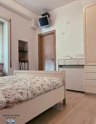 a bedroom with a bed and a tv on the wall at Ale&Andrea Apartments BLU & LILLA in Rome
