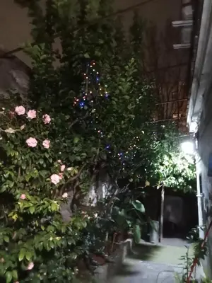 a christmas tree with christmas lights on it at L'attico di Val. in Rome