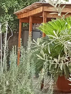 a gazebo in a garden with plants at L'attico di Val. in Rome