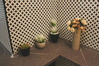a group of potted plants on a wall at Hotel Roma Vaticano in Rome