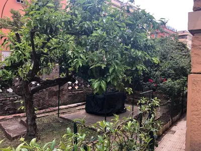 a tree in a garden next to a fence at Villa Ella in Rome