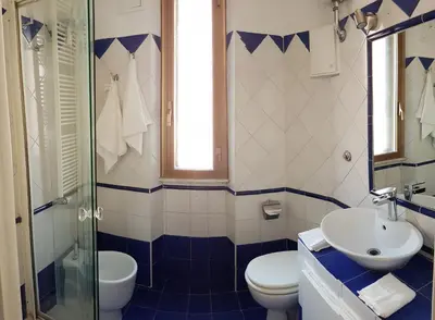 a blue and white bathroom with a toilet and a sink at Saint Peter s roof in Rome