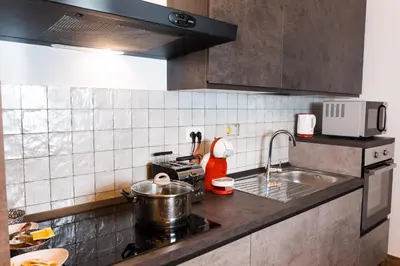 a kitchen with a sink and a pot on a stove at Angelina Apartment Roma Monteverde in Rome